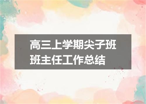 高三上学期尖子班班主任工作总结