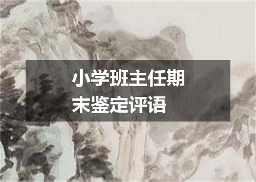 小学班主任期末鉴定评语