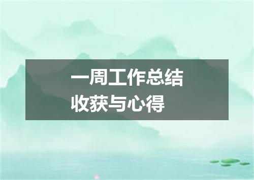 一周工作总结收获与心得