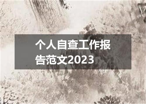 个人自查工作报告范文2023