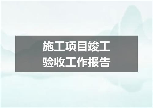 施工项目竣工验收工作报告
