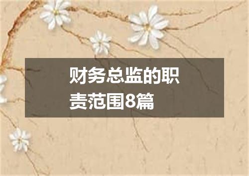 财务总监的职责范围8篇