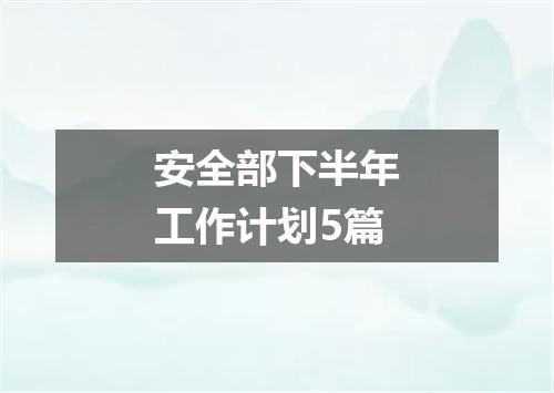 安全部下半年工作计划5篇
