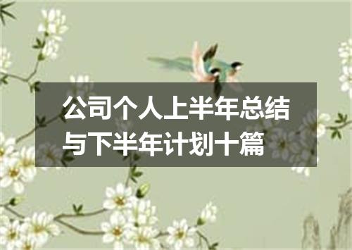 公司个人上半年总结与下半年计划十篇