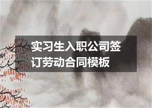 实习生入职公司签订劳动合同模板