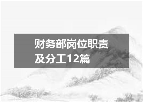 财务部岗位职责及分工12篇