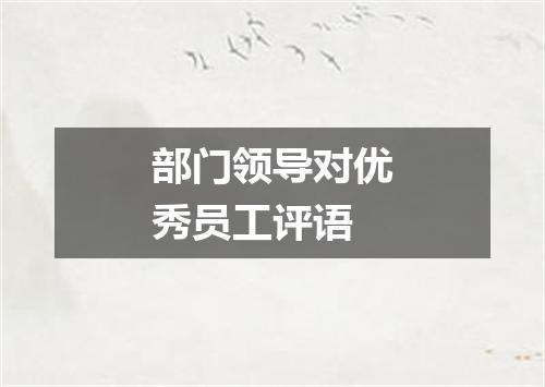 部门领导对优秀员工评语
