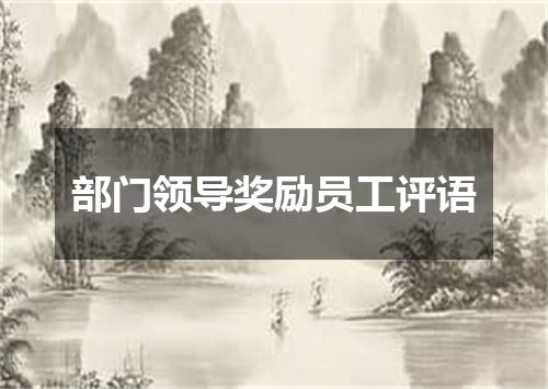 部门领导奖励员工评语