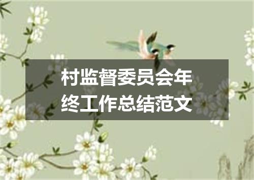 村监督委员会年终工作总结范文