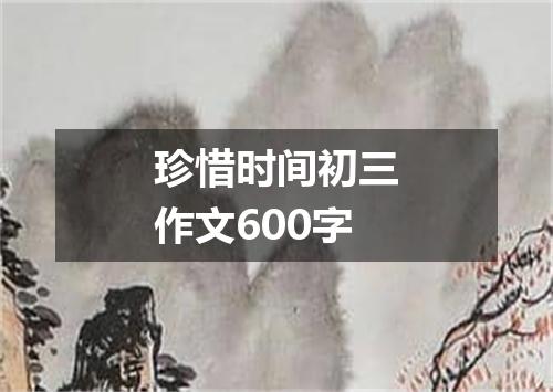 珍惜时间初三作文600字
