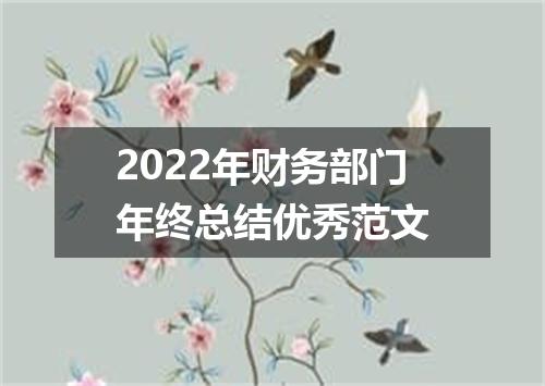 2022年财务部门年终总结优秀范文