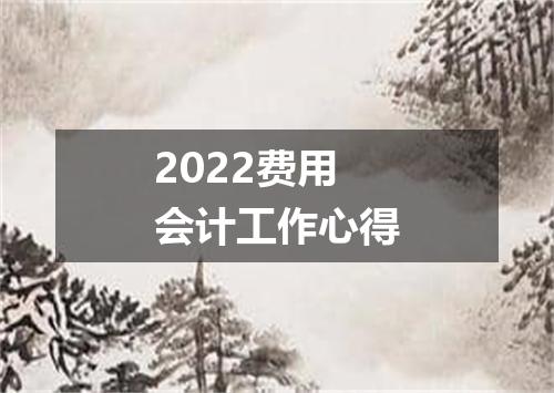 2022费用会计工作心得