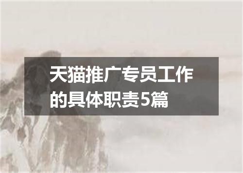 天猫推广专员工作的具体职责5篇