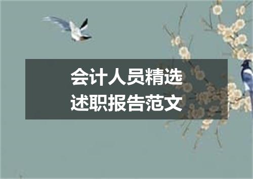会计人员精选述职报告范文