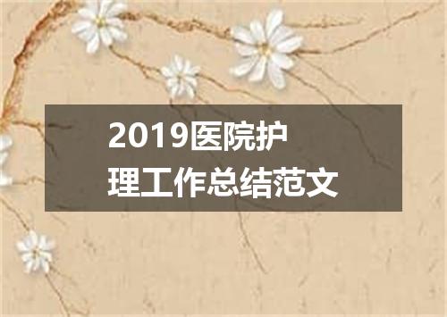 2019医院护理工作总结范文
