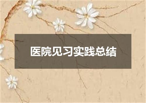 医院见习实践总结