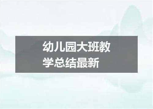 幼儿园大班教学总结最新
