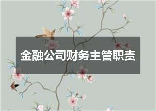 金融公司财务主管职责