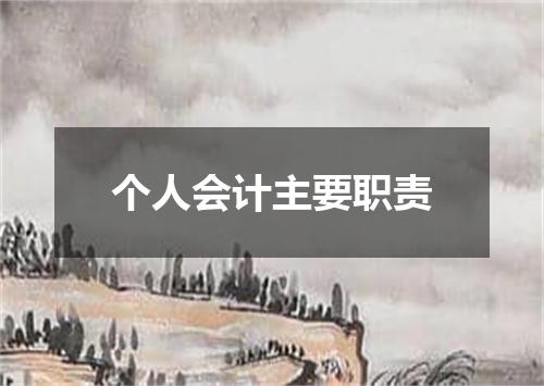 个人会计主要职责
