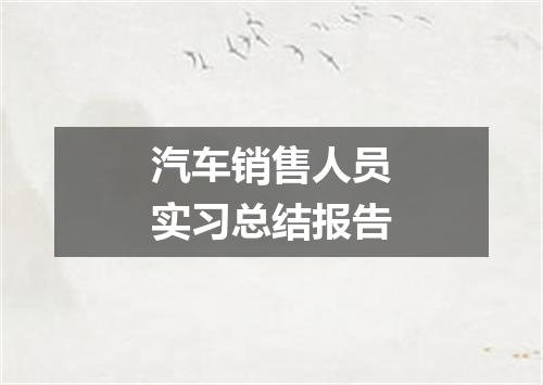 汽车销售人员实习总结报告