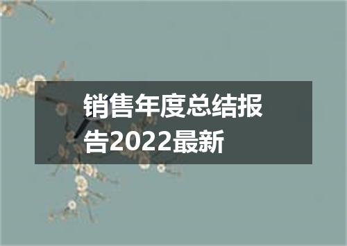 销售年度总结报告2022最新