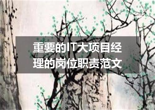 重要的IT大项目经理的岗位职责范文