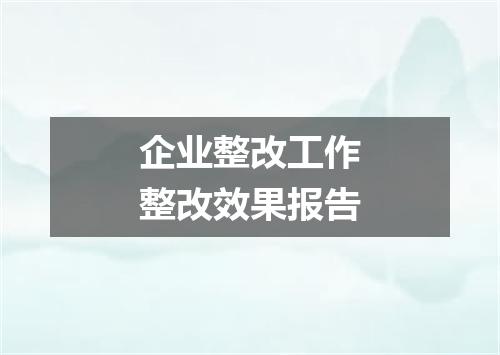 企业整改工作整改效果报告