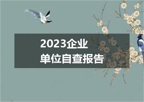 2023企业单位自查报告