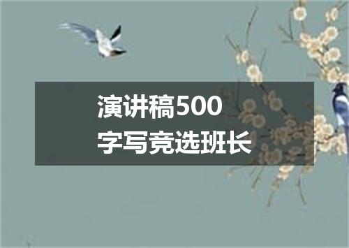 演讲稿500字写竞选班长