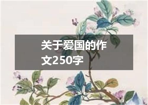 关于爱国的作文250字