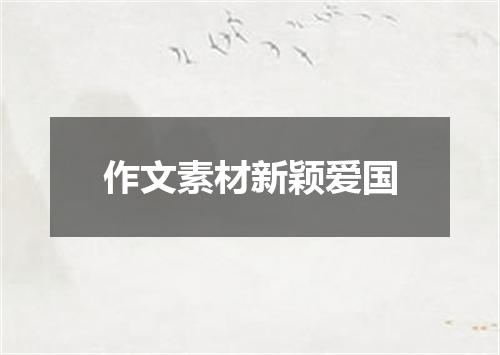 作文素材新颖爱国