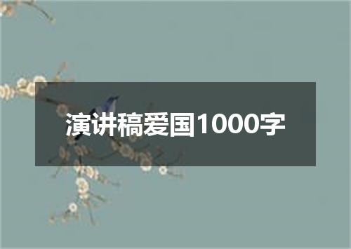 演讲稿爱国1000字