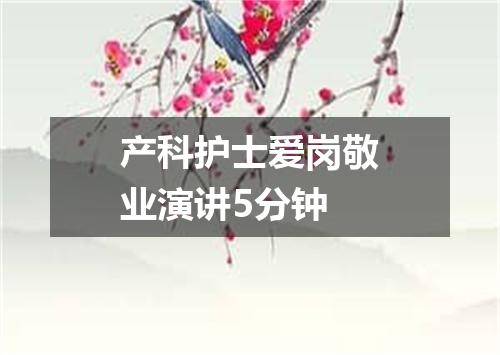 产科护士爱岗敬业演讲5分钟