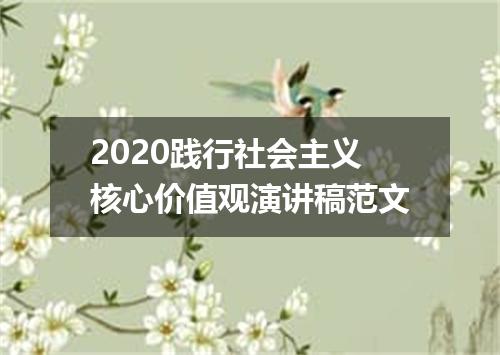 2020践行社会主义核心价值观演讲稿范文