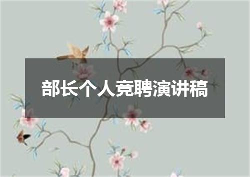 部长个人竞聘演讲稿