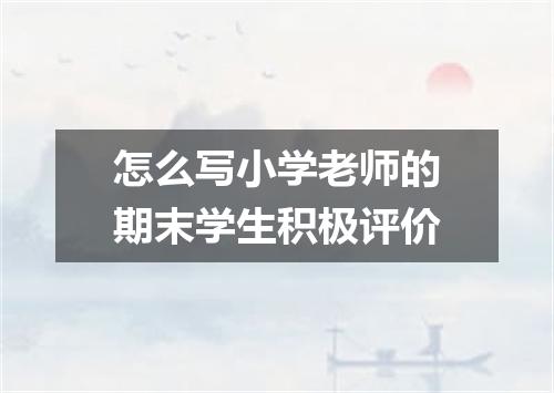 怎么写小学老师的期末学生积极评价