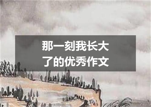 那一刻我长大了的优秀作文