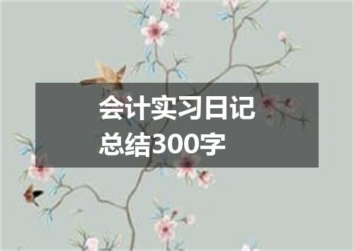 会计实习日记总结300字