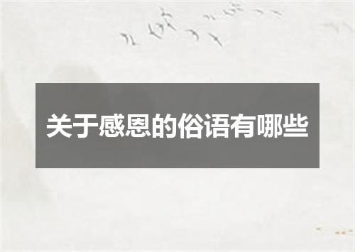 关于感恩的俗语有哪些