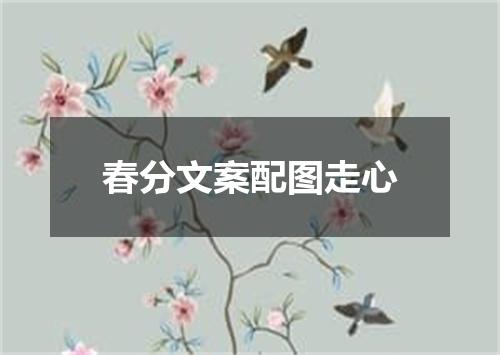 春分文案配图走心