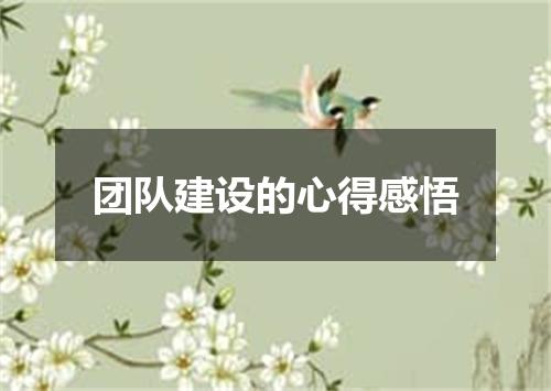 团队建设的心得感悟