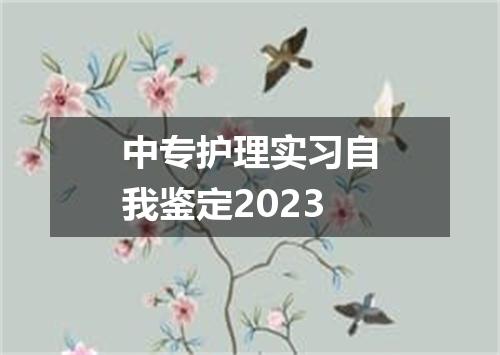 中专护理实习自我鉴定2023