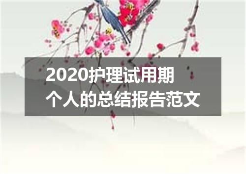 2020护理试用期个人的总结报告范文