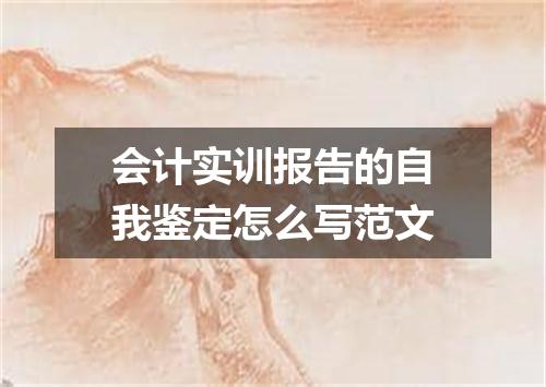会计实训报告的自我鉴定怎么写范文