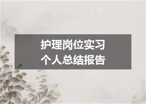 护理岗位实习个人总结报告