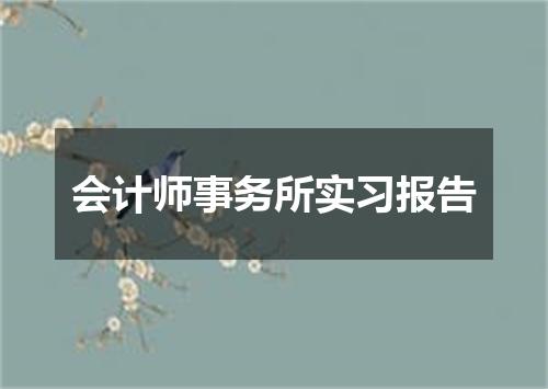 会计师事务所实习报告