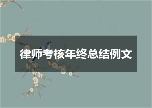 律师考核年终总结例文