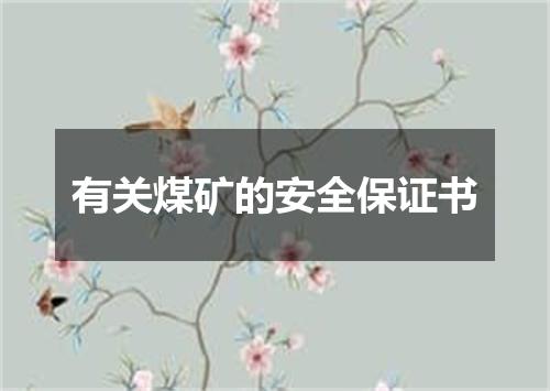 有关煤矿的安全保证书