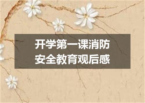 开学第一课消防安全教育观后感