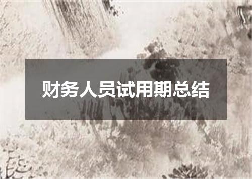 财务人员试用期总结